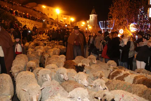 Allauch : la descente des bergers annulée