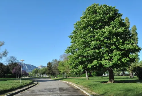 Marseille : les parcs ferment leurs portes en raison du vent