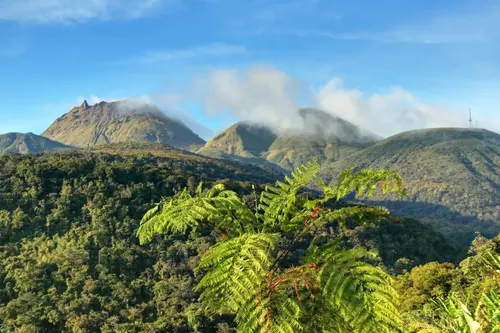 Guadeloupe : un vacancier retrouvé vivant six jours après sa...