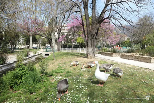Toulon : le parc du Pré Sadin fermé