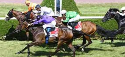 Samedi 03  Octobre - LES PRONOSTICS HIPPIQUES DE SEBASTIEN MORTAGNE