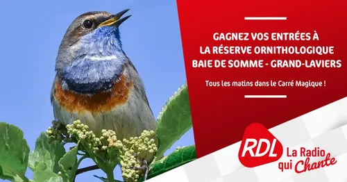 Gagnez vos entrées à la Réserve Ornithologique BAIE DE...