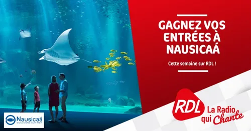 Gagnez vos entrées à Nausicaa sur RDL !
