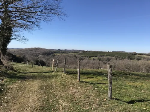 Les chasseurs lancent une opération "Nettoyons la nature" ce week-end