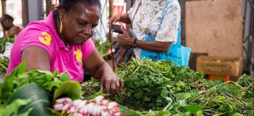 Les plantes médicinales remis au goût du jour en Martinique