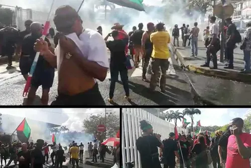 Martinique : des affrontements entre militants anti-chlordécone et...