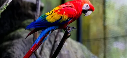 Une fillette de 6 ans et ses grands-parents sauvés d'un incendie...