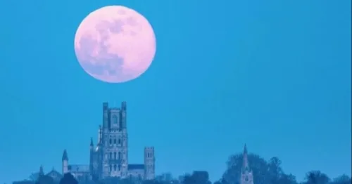 Une « Super Lune rose » illuminera le ciel ce soir