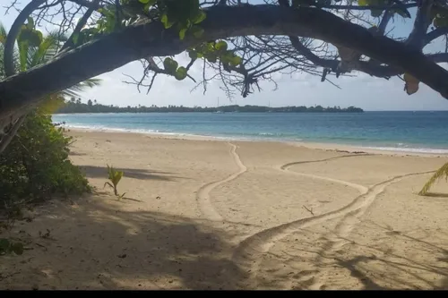 Les plages de Martinique restent interdites pour l’instant