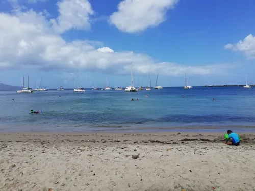 Réouverture des plages, bonheur retrouvé