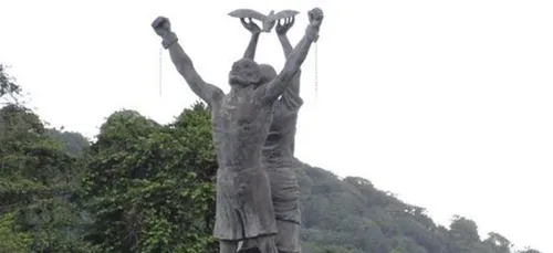 Le programme fourni de Guyane 1re pour vous faire vivre la...