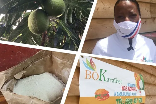 Des bokits à base de fruit à pain : l’initiative de BôKaraïbes