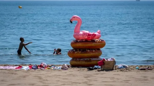 Quatre voleurs de carte bancaire trahis par une bouée flamant rose