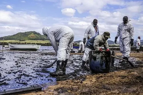 Wakashio : la réserve de Blue-Bay et la mangrove de l’île Maurice...