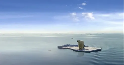 En un demi-siècle, l’activité humaine a provoqué la disparition de...