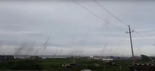 Des tornades de milliards de moustiques s’abattent sur l’est de la...