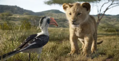 « Le Roi Lion 2 » : la suite du film en live-action a son réalisateur
