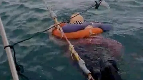 Disparue il y a deux ans, une femme de 46 ans retrouvée vivante en...