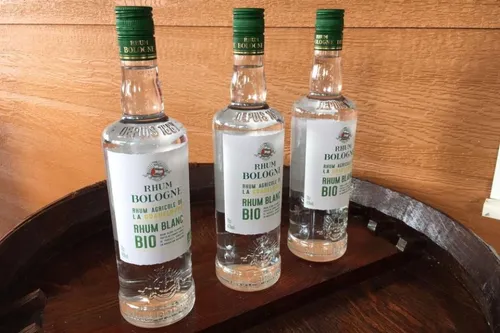 Le rhum Bologne passe au bio