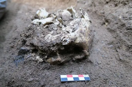 Un crâne d’Amérindien datant de 0 et 300 ans après J.C découvert à...
