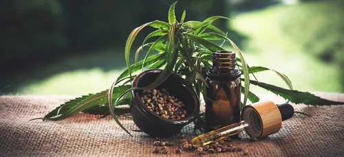 La nouvelle tendance, la nourriture à base de CBD