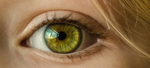 Illusion d’optique : votre cerveau va colorer lui-même cette photo...