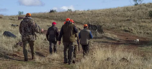 Oise : des chasseurs ont organisé des "repas avec bar ouvert" en...