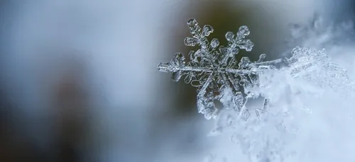Des flocons de neige sont tombés en Ile-de-France