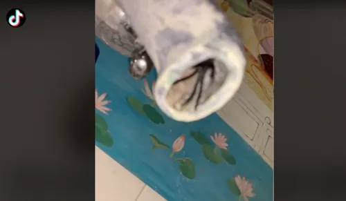 Elle découvre une énorme araignée coincée dans son robinet (Vidéo)