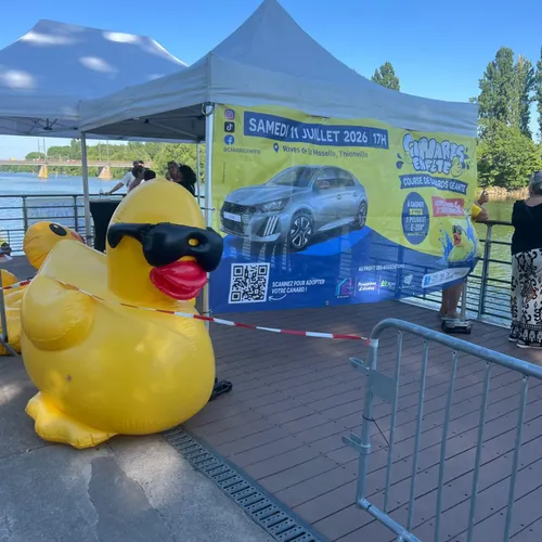 Canards en fête