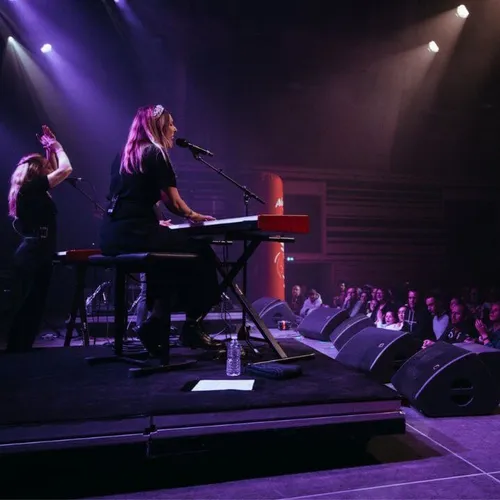 Le Live Alouette dans le Finistère : Cats On Trees