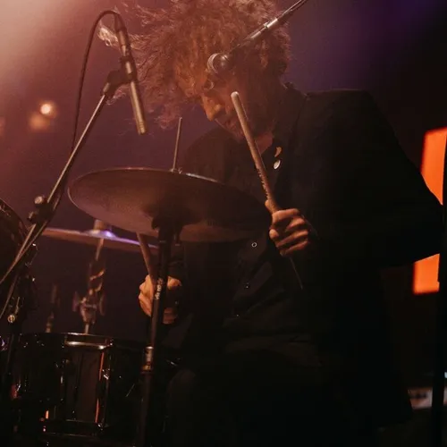 Le Live Alouette dans le Finistère : Cats On Trees