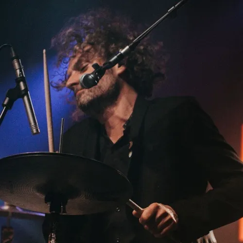 Le Live Alouette dans le Finistère : Cats On Trees