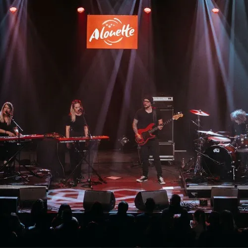 Le Live Alouette dans le Finistère : Cats On Trees