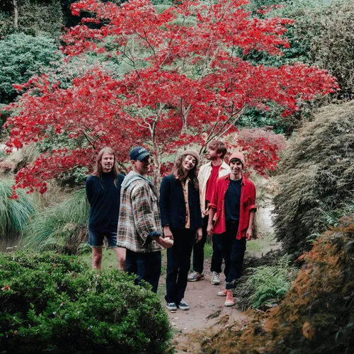 Le Zine - 16 Décembre 2024 - FREAK IT OUT