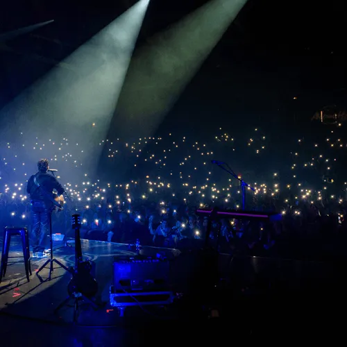 Live Alouette à Niort - 29 novembre 2022
