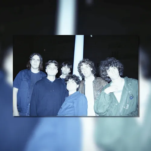 Le Zine - 25 Novembre 2024 - STUFFED FOXES