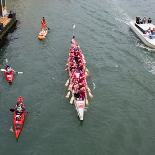 Les Dragon Ladies 08 s'illustrent à la Vogalonga