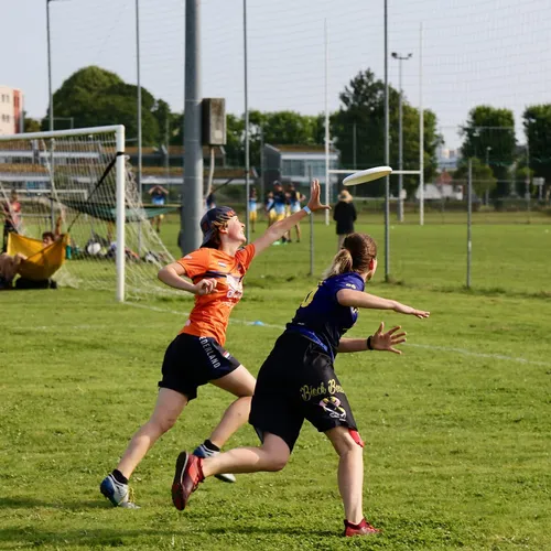 Zoom sur les BlackBeast, le club d'ultimate frisbee de Charleville