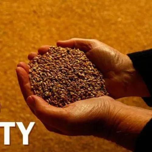 LE JOURNAL DU LIBAN DU SOIR DU 7/06/22