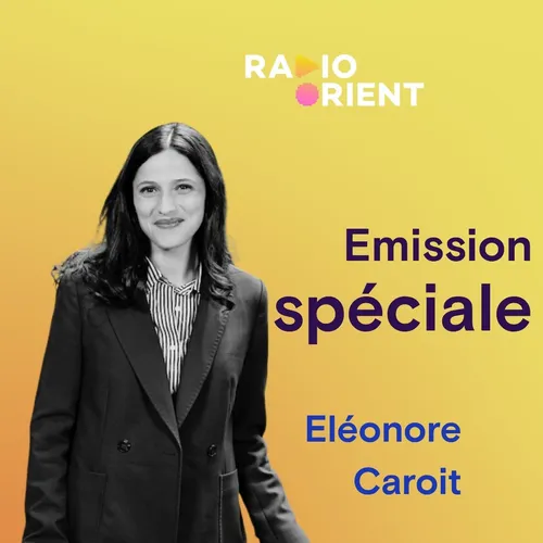 Eléonore Caroit,: “La voix des Libanais doit être davantage entendue” 