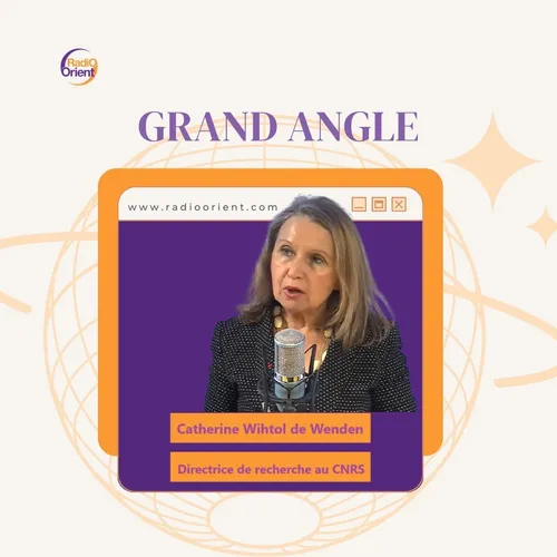 Grand Angle avec Catherine Wihtol de Wenden