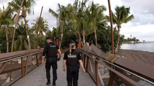 Un enfant de deux ans tué par un chien, drame