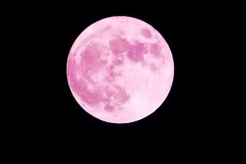 Ne manquez pas la Lune Rose d'avril !