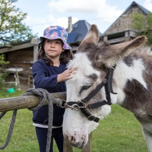 Suivez Le Guide - Le Pas D'Ane