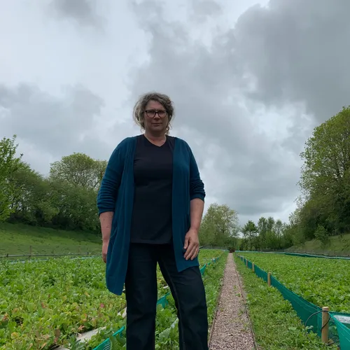 Suivez Le Guide - les escargots de l'Odon