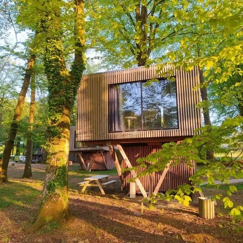 Suivez le Guide : Étape en Forêt