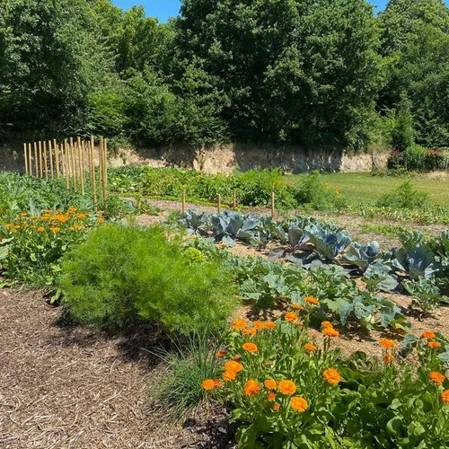 Suivez Le Guide - La Maison de la Nature et de la Pierre Sèche