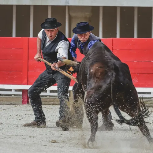 [ SOCIÉTÉ ]: Le trophée des Gardians ce soir aux arènes d'Arles.