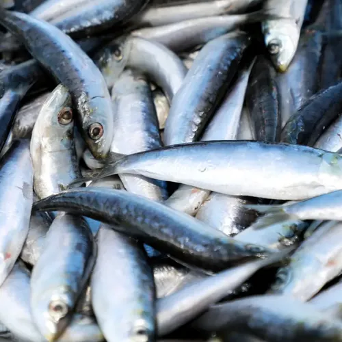 [ SOCIETE ] 100% des Français sont contaminés aux métaux lourds 